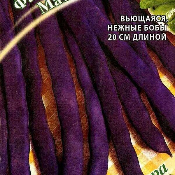 Семена фасоль Гавриш Матильда