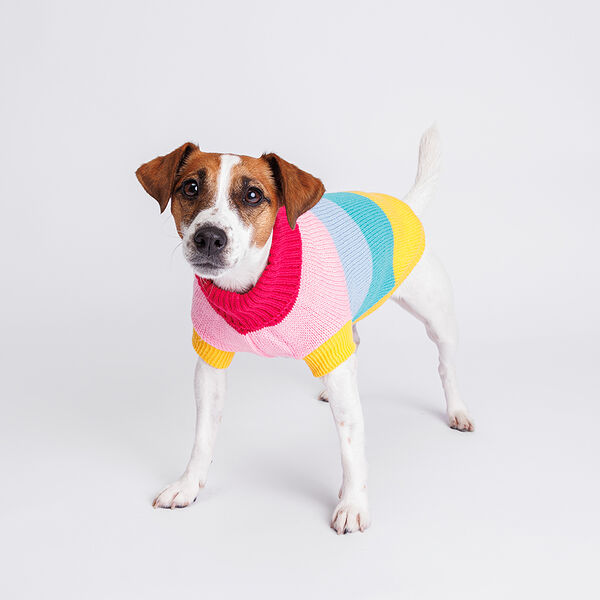 Свитер полосатый для собак Радуга, 40 см