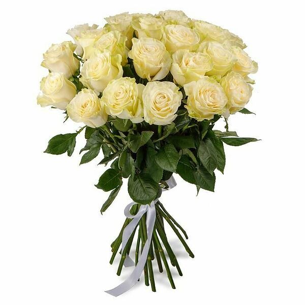 Букет 25 роз Мондиаль 60 см