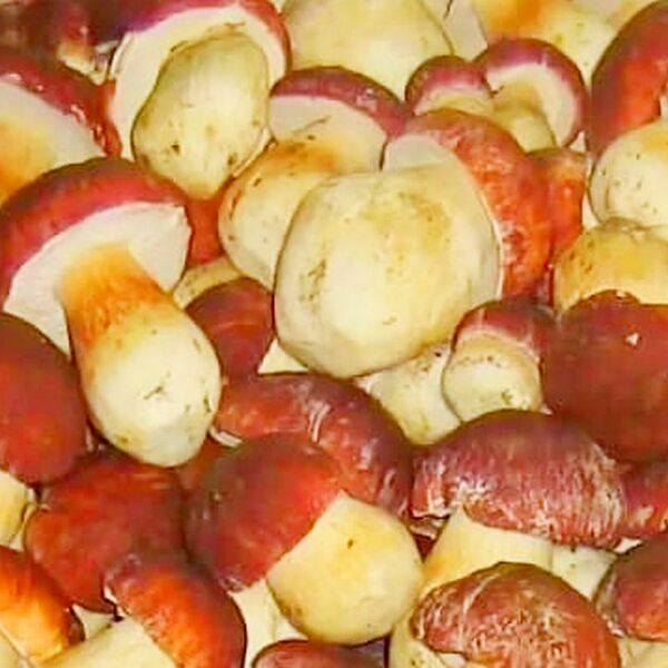 Грибы белые свежемороженные