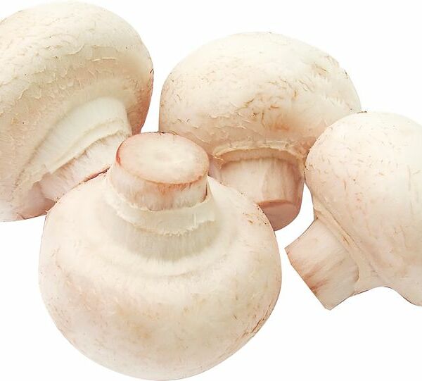 Грибы Global Village шампиньоны