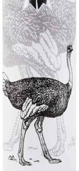 Колбаса из мяса cтрауса сыровяленая Деликатес Дичь