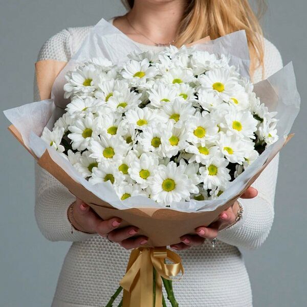 Хризантема