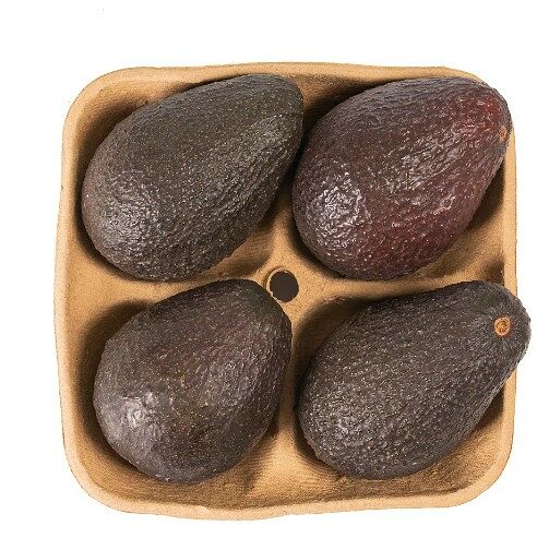 Авокадо Хаас