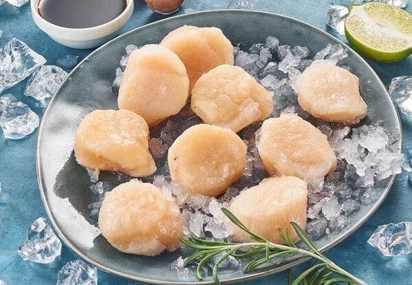 Гребешки курильские