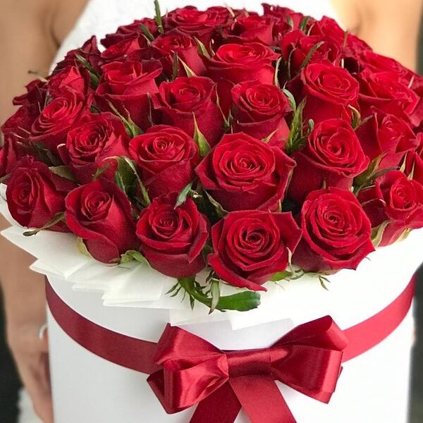 51 красная роза в коробке
