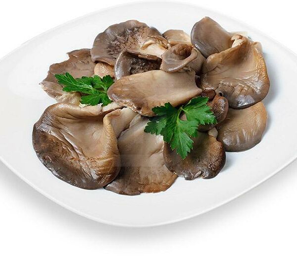 Грибы Вешенки маринованные