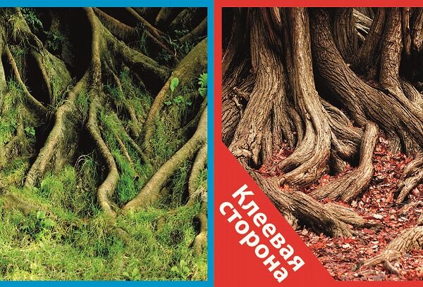 Фон двусторонний 30x60см с одной самоклеящейся стороной Корни смохом/Корни с листьями +