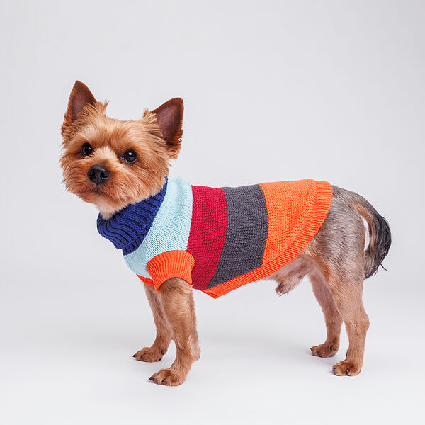 Свитер полосатый для собак, 20 см, красно-черный