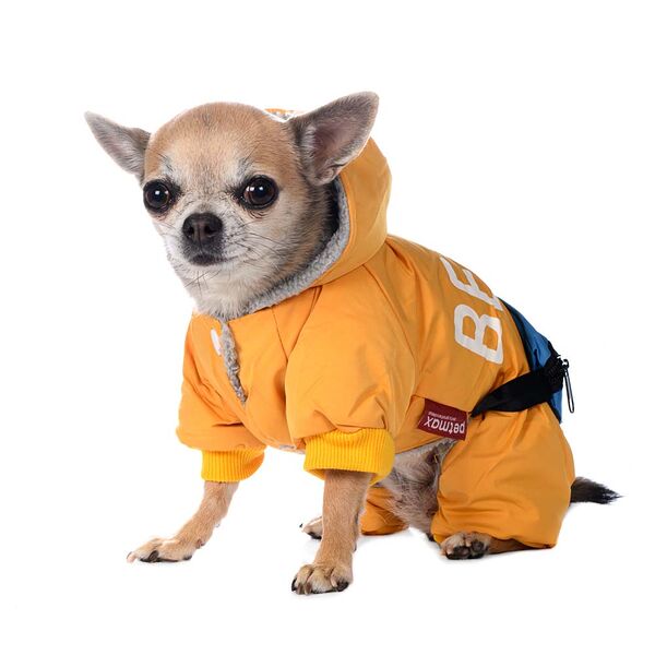 Комбинезон с сумочкой для собак 2XL желтый (унисекс)