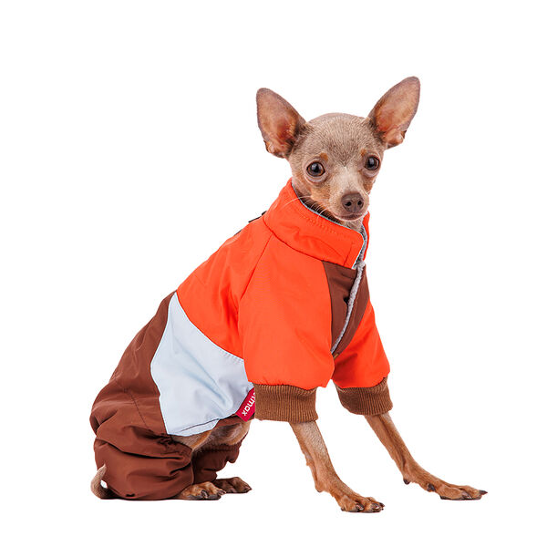 Комбинезон для собак Petmax M коричневый (унисекс)