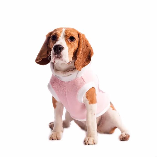 Костюм карнавальный для собак Ангел XL белый (девочка)