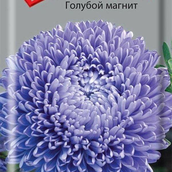 Семена Астра Голубой магнит ТМ Поиск