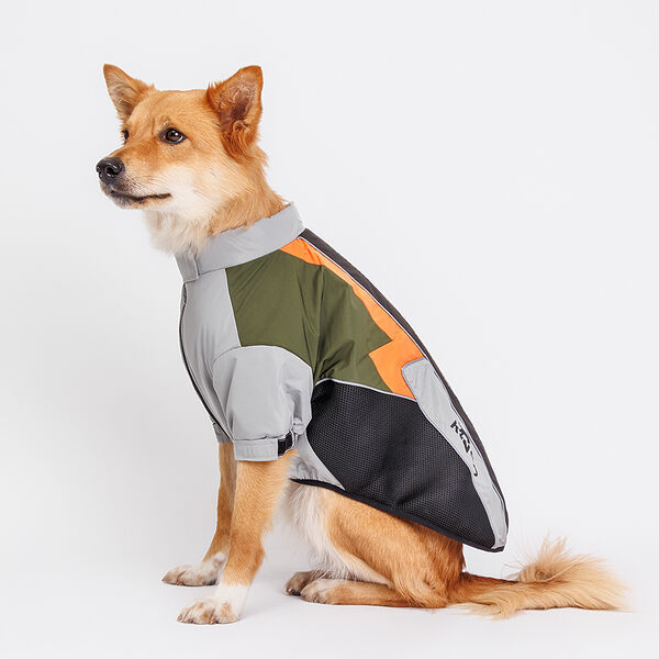 Куртка на замке для собак, 6XL, зелено-серая