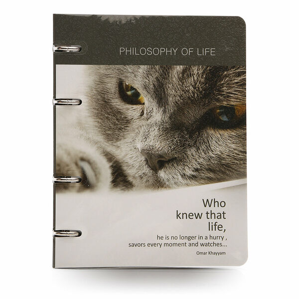 Тетрадь Cat and dogs с кольцевым механизмом 120 листов ТМ Study Infolio (Стьюди Инфолио)