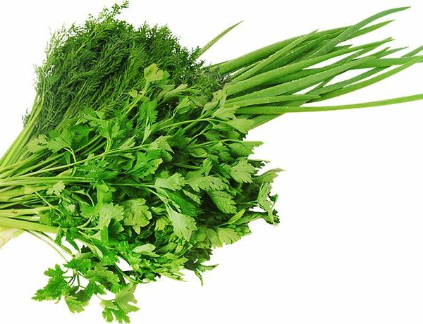 Набор зелени Global Village Ассорти лук зеленый, петрушка, укроп 70г