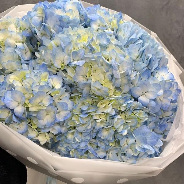 Нежное облако из 9 гортензий