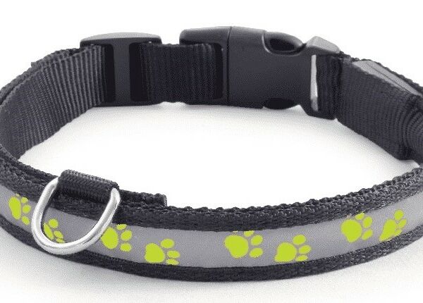 Triol LD09M ошейник нейлоновый светодиодный 25*310-410мм, Салатовый