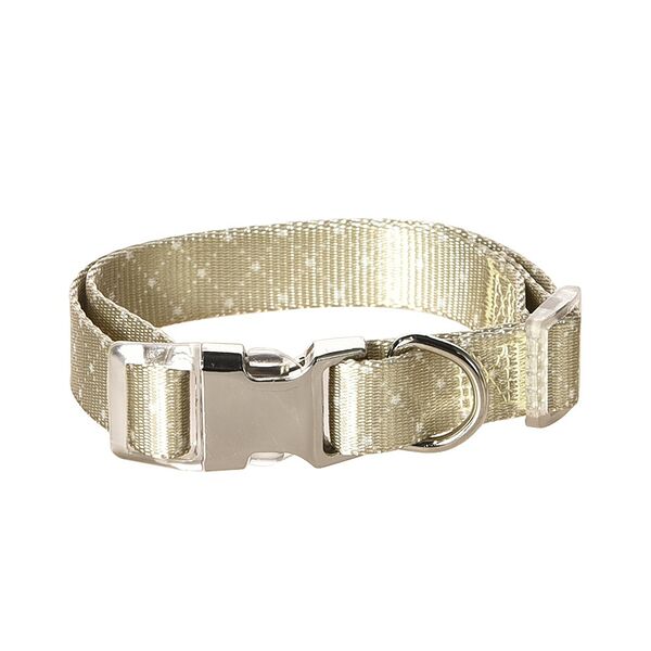 Ошейник для собак FOXIE Beige L 2,5х40-55см бежевый