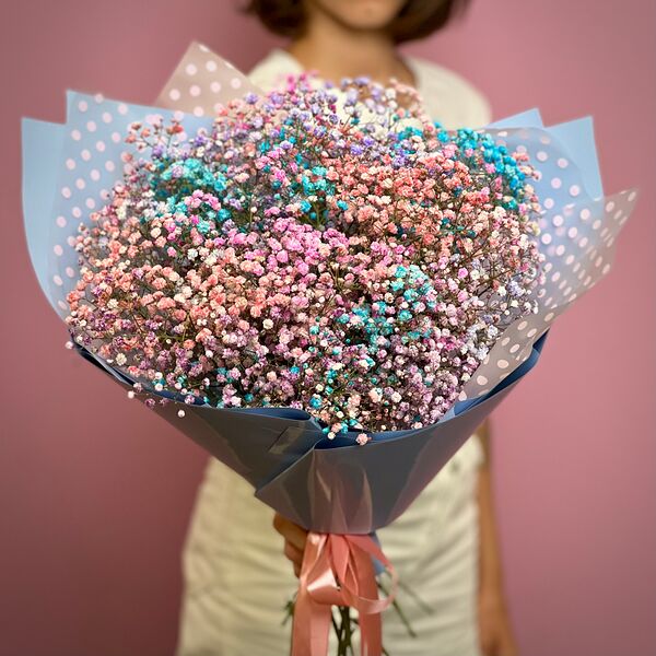 Гипсофила цветная 9 шт