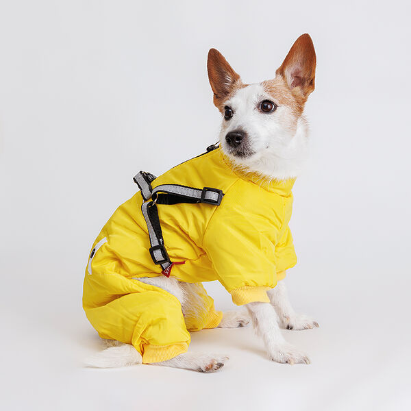 Комбинезон со шлейкой для собак, XL, желтый
