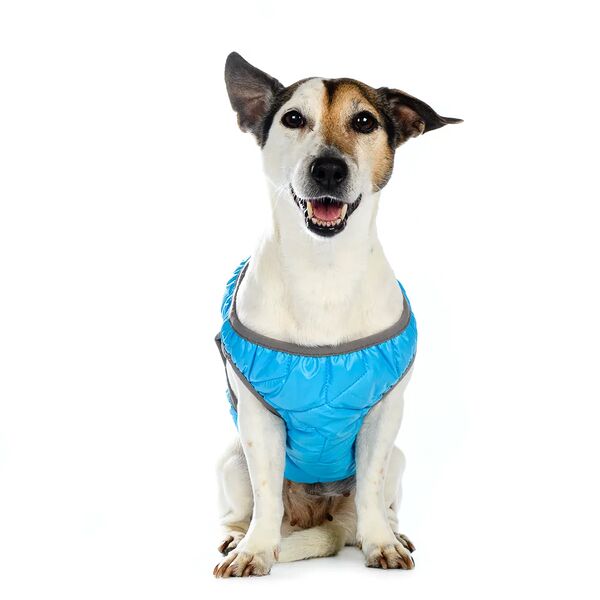 Шлейка с отражающей лентой L голубая