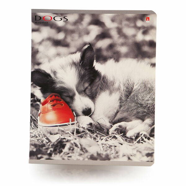 Тетрадь общая в клетку ТМ Альт