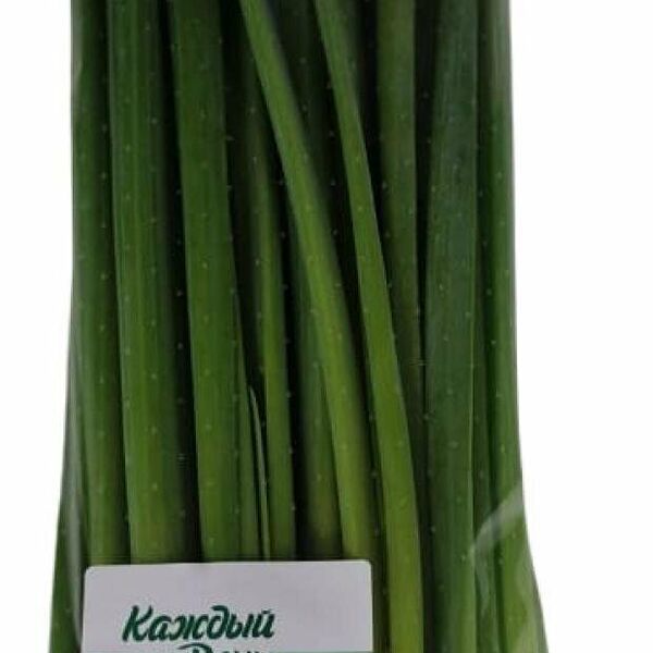 Лук зеленый Каждый день