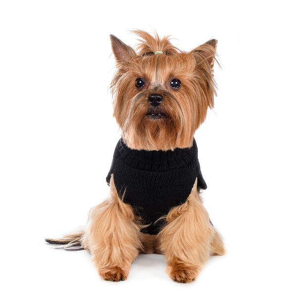 Свитер для собак 20см 2XS черный (унисекс)