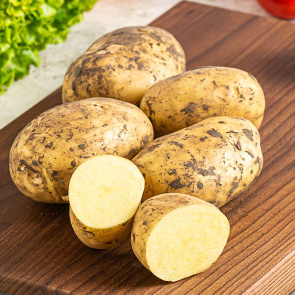 картофель Невский