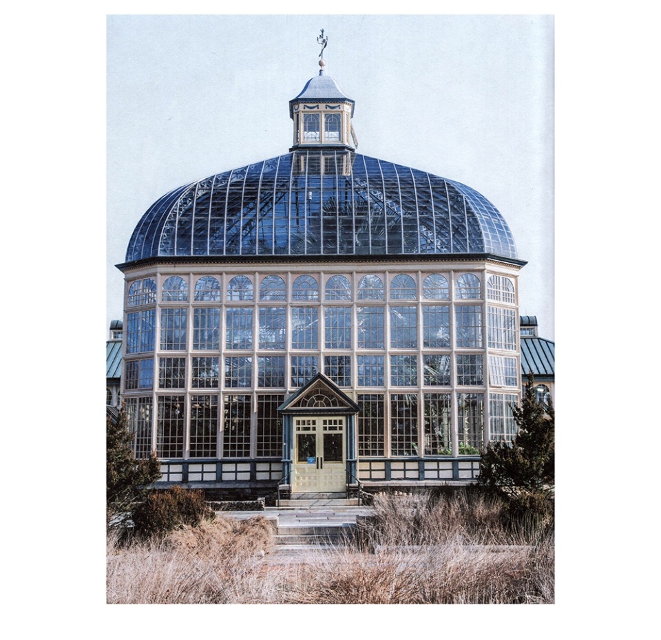 

Книга. Wild Interiors. Как создать роскошный интерьер. Картер Хилтон, Россия