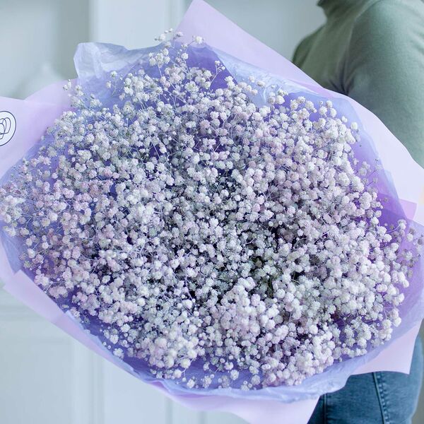 Букет из 15 сиреневых гипсофил в сиреневой пленке