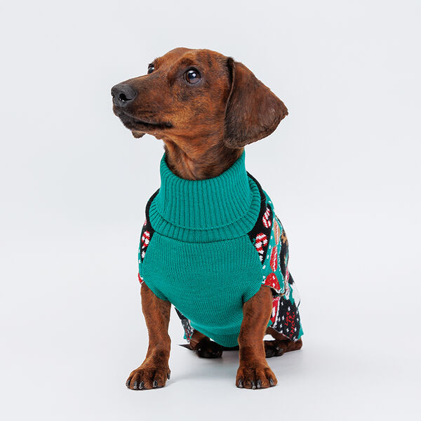 Свитер новогодний для собак, 30 см, зелено-красный