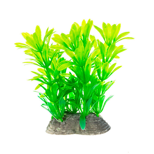 AquaFantasy Растение зеленоватое 6×5×10см
