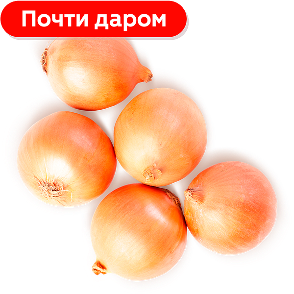 Лук репчатый
