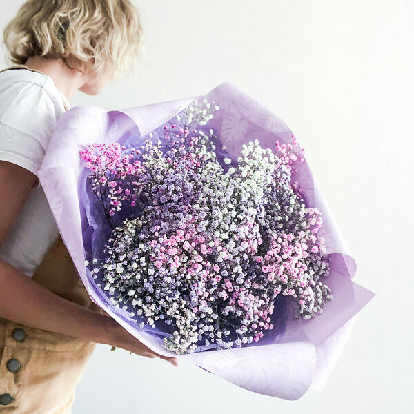 Гипсофила - Нежность