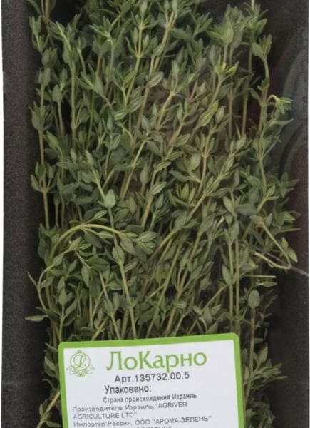 Тимьян ЛоКарно