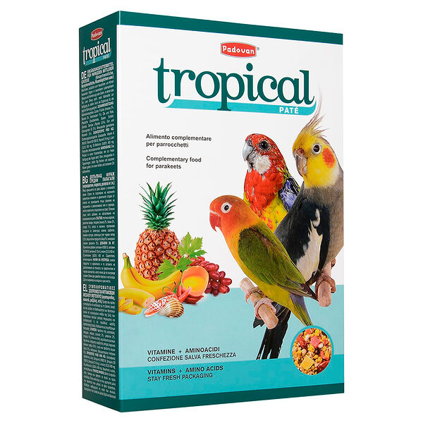 Корм комплексный фруктовый PADOVAN для средних попугаев TROPICAL patee, 700г