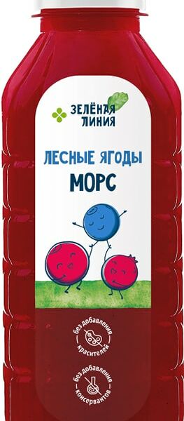 Морс Зеленая Линия Лесные ягоды 500мл