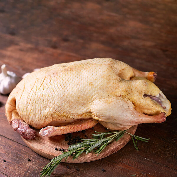 Утка фермерская