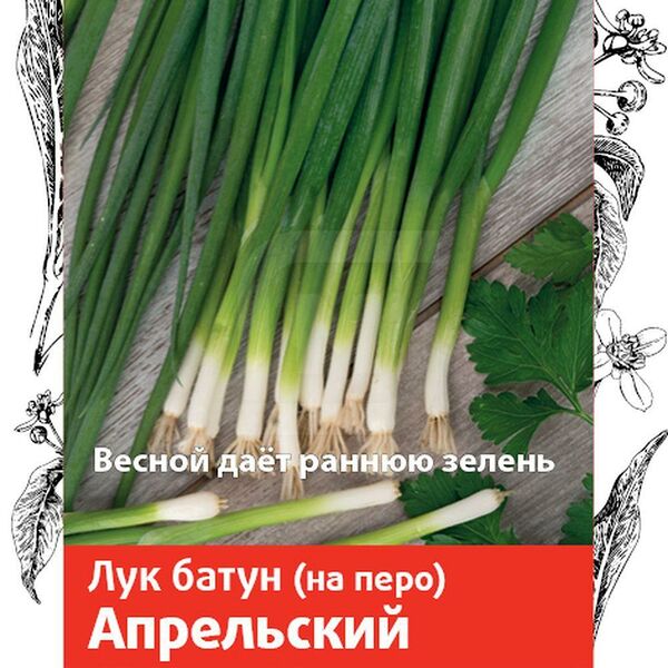 Семена Поиск Лук батун Апрельский В19