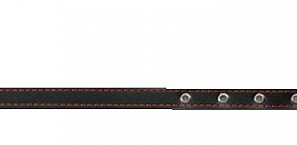 Зооник ошейник кожаный на капроновой ленте 33-42 см.