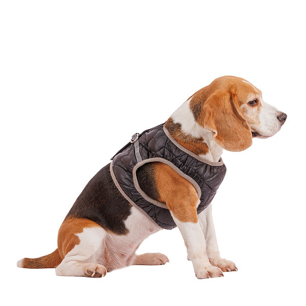 Шлейка со светоотражающей лентой 2XL черная