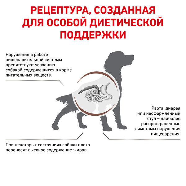 Royal Canin Gastrointestinal Low Fat корм для собак диета с малым содержанием жира Диетический