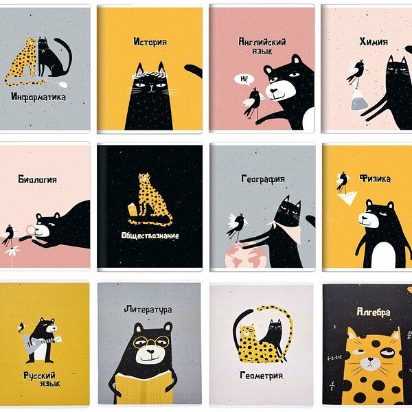 Тетрадь предметная набор Be Smart А5 48л 12шт Silly N3220-3231