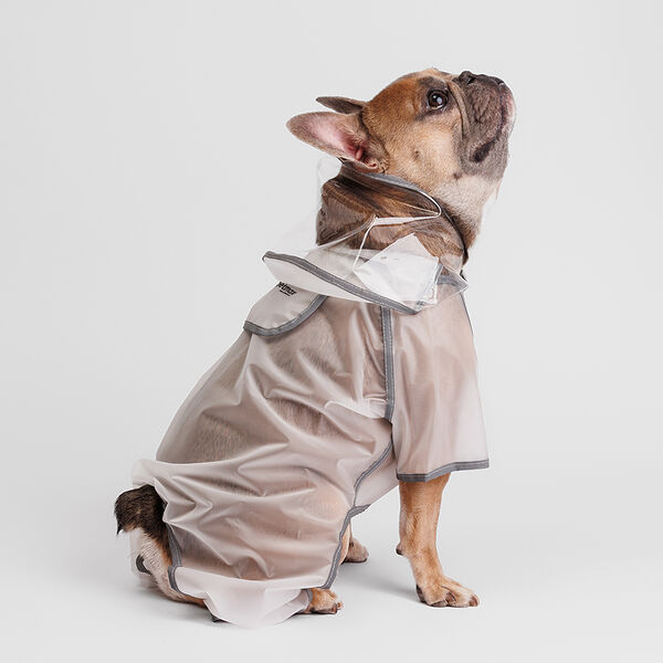 Дождевик с ножками для французского бульдога, XL, прозрачный