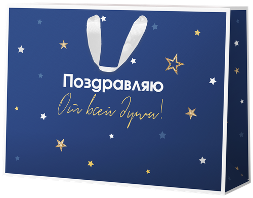 

Пакет подарочный Teddy VS 40.5х30х15 см, дизайн в ассортименте