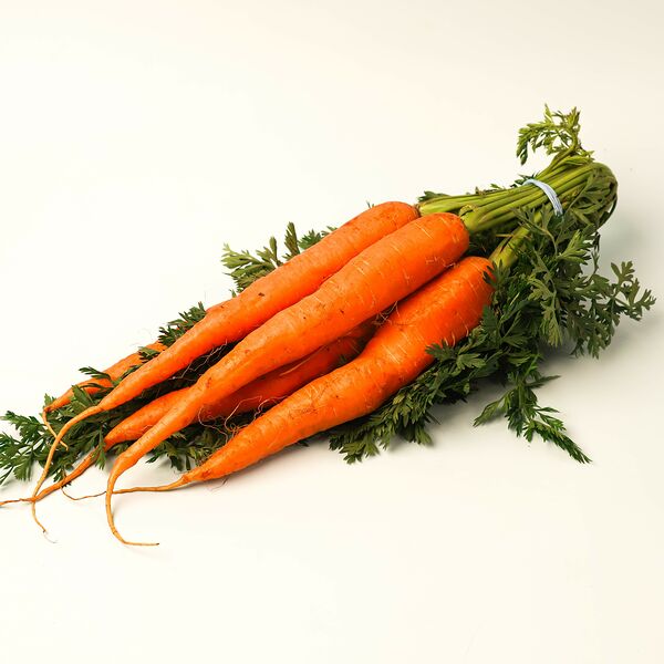 Морковь молодая 1 пучок