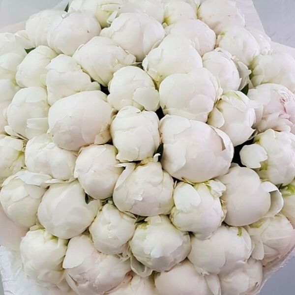 Букет из белых пионов