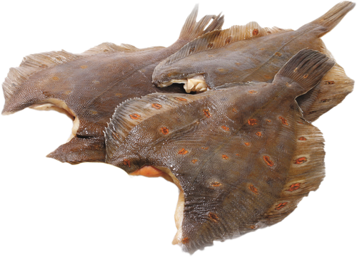 

Камбала потрошеная обезглавленная замороженая вес